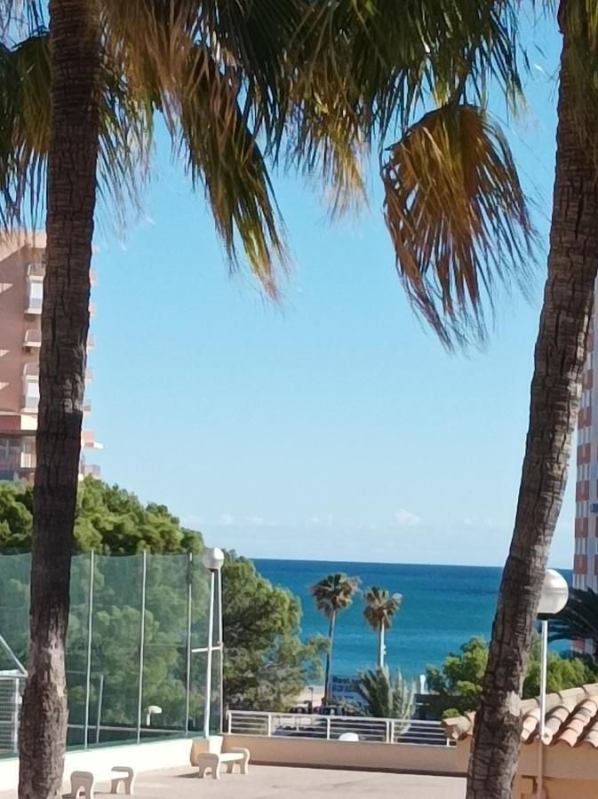 Apartamento Almar Collection Cullera Bahia Park Exterior foto
